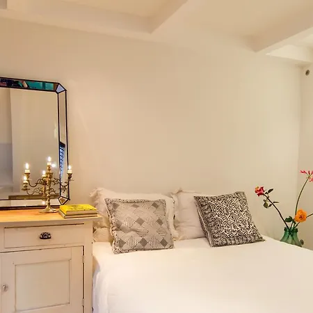 Luxury Vondelpark House