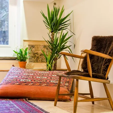 Luxury Vondelpark House